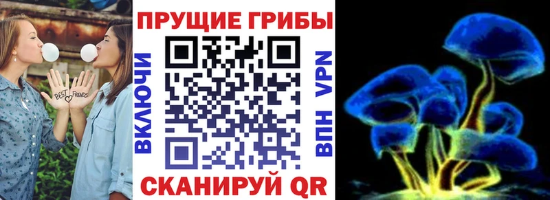 Галлюциногенные грибы ЛСД  Холм 
