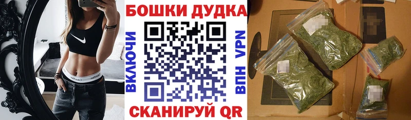 Шишки марихуана семена  наркотики  Холм 
